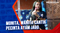 Monita, Wanita Cantik...