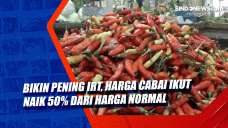 Bikin Pening IRT, Harga...