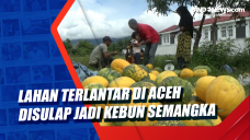 Lahan Terlantar di Aceh...