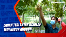 Lahan Terlantar Disulap...