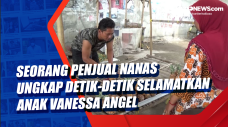 Seorang Penjual Nanas...