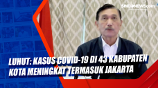 Luhut: Kasus Covid-19...