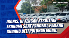 Ironis, di Tengah Kesulitan...