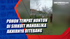 Pohon Tempat Nonton...