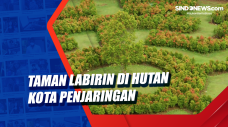 Taman Labirin di Hutan...