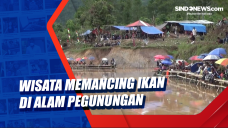 Wisata Memancing Ikan...