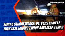 Sering Sengat Warga,...