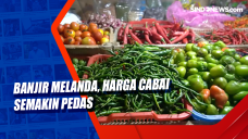 Banjir Melanda, Harga...
