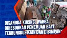 Disangka Kucing, Warga...