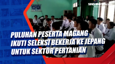 Puluhan Peserta Magang...