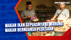 Makan Ikan Sepuasnya...