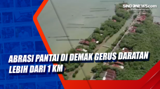 Abrasi Pantai di Demak...