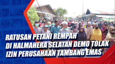 Ratusan Petani Rempah...