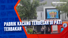 Pabrik Kacang Terbesar...
