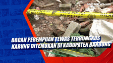 Bocah Perempuan Tewas...