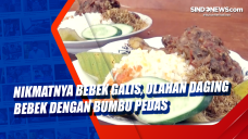 Nikmatnya Bebek Galis,...