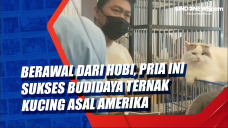 Berawal dari Hobi, Pria...