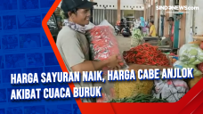 Harga Sayuran Naik,...