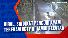 Viral, Sindikat Pencuri...