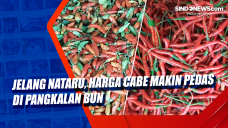Jelang Nataru, Harga...
