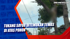 Tukang Sayur Ditemukan...