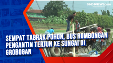 Sempat Tabrak Pohon,...