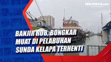 Banjir Rob, Bongkar...