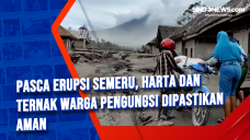 Pasca Erupsi Semeru,...