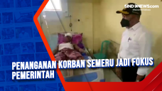Penanganan Korban Semeru...