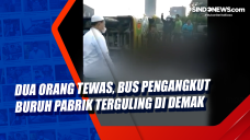 Dua Orang Tewas, Bus...
