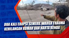 Dua Kali Erupsi Semeru,...
