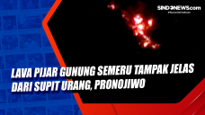 Lava Pijar Gunung Semeru...