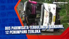 Bus Pariwisata Terguling...