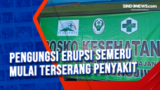 Pengungsi Erupsi Semeru...
