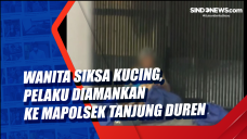 Wanita Siksa Kucing,...