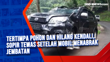 Tertimpa Pohon dan Hilang...