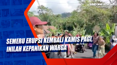 Semeru Erupsi Kembali...