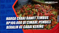 Harga Cabai Rawit Tembus...