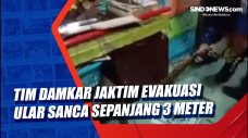 Tim Damkar Jaktim Evakuasi...