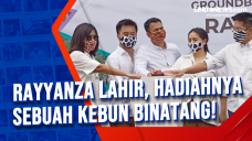 Rayyanza Lahir, Hadiahnya...