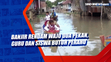Banjir Rendam Wajo Dua...