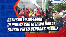 Ratusan Emak-Emak di...