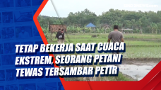 Tetap Bekerja saat Cuaca...
