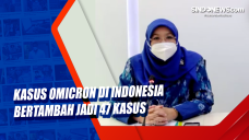 Kasus Omicron di Indonesia...