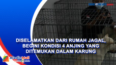 Diselamatkan dari Rumah...
