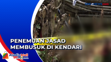 Penemuan Jasad Membusuk...