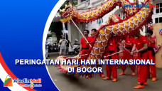 Hari HAM Internasional,...