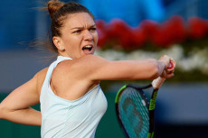 Simona Halep Ragu WTA...