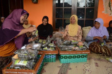 Nasabah KUR BRI Dapat...