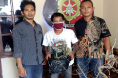 Curi Bonsai, Warga Sleman...
